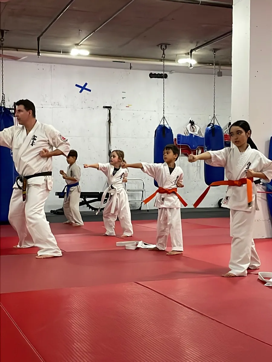 Cours de karaté pour enfants à l'Île-des-Sœurs Cours de karaté pour enfants à l'Île-des-Sœurs : Sensei Alexandre Haché, ceinture noire, et des enfants ceintures blanche, orange et bleue donnent un coup de poing ensemble sur les tapis du dojo.