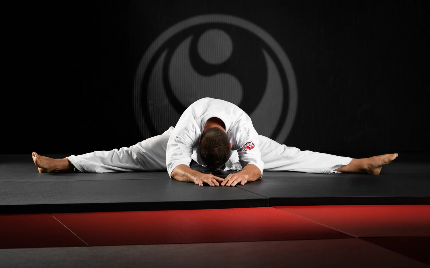 Sensei Alexandre Haché : grand écart, karaté Shinkyokushin Sensei Alexandre Haché en grand écart facial, le buste au sol, devant l'emblème du karaté Shinkyokushin.